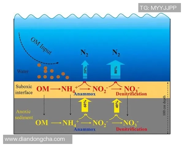 成都排球队节奏对比分析:战术风格与比赛表现的深度探讨 成都排球队节奏对比分析:战术风格与比赛表现的深度探讨