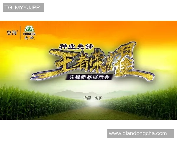 李秀英畅谈王者荣耀职业生涯与游戏背后的故事与感悟 李秀英畅谈王者荣耀职业生涯与游戏背后的故事与感悟