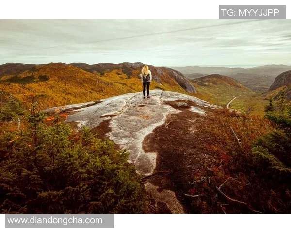 王丽的攀岩人生:在高峰与深渊之间的深度对话与心灵探索 王丽的攀岩人生:在高峰与深渊之间的深度对话与心灵探索